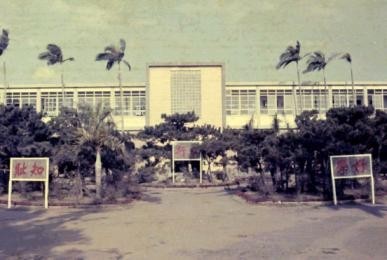 民國60年代的明德樓與松樹