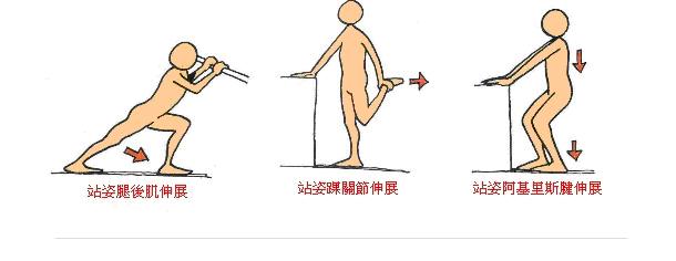 評估關節活動、關節穩定性、肌肉力量